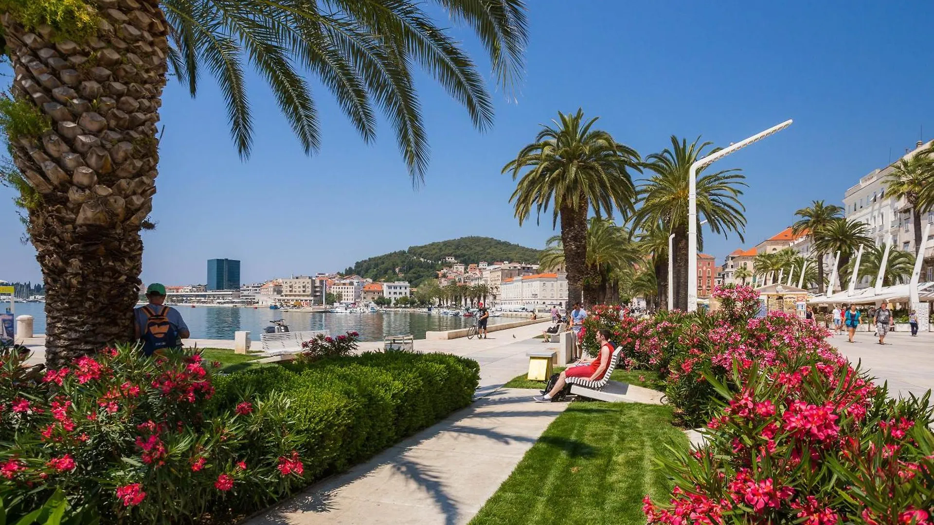 Luxury Rooms & Apartment - Riva & Sea View In Diocletian Palace 스플리트 크로아티아